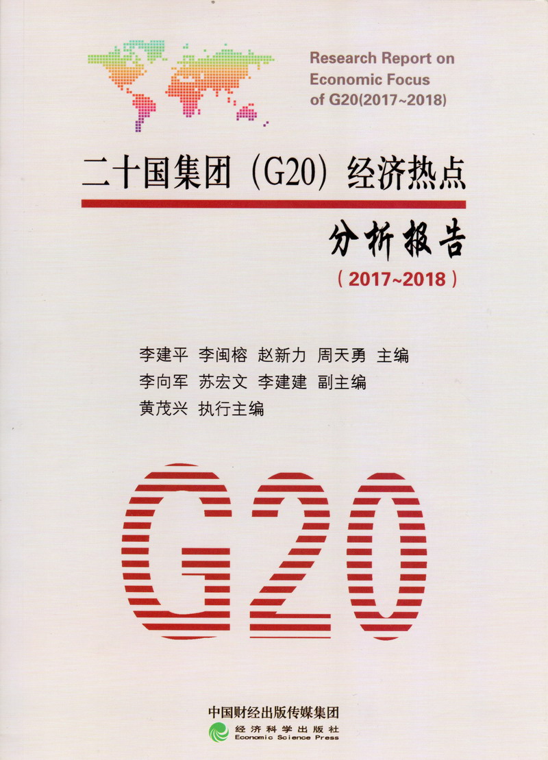 大鸡巴日b无码视视二十国集团（G20）经济热点分析报告（2017-2018）