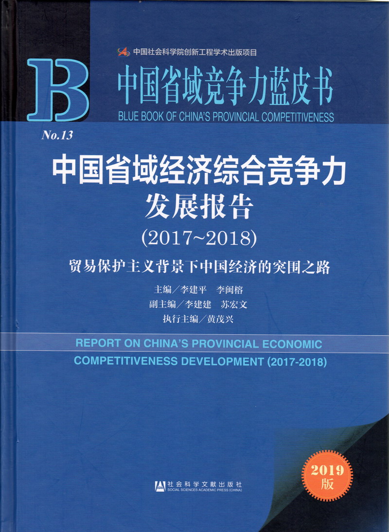 大黑屌插逼真人版中国省域经济综合竞争力发展报告（2017-2018）